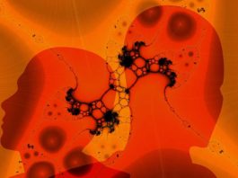 Neuralink: Projekti që do Lidhë Njeriun me Kompjuterat Neuralink-Instrumenta në trurin e njeriut