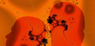 Neuralink: Projekti që do Lidhë Njeriun me Kompjuterat Neuralink-Instrumenta në trurin e njeriut