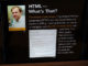 Tim Berners-Lee Fiton Çmimin Turing për Vitin 2016 Tim-berners-lee-themeluesi-web