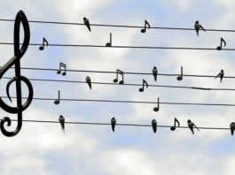 Twitter Këshillon Përdoruesit të Ndërrojnë Fjalëkalimin Disa zogj dhe nje note muzike me tela korrenti me qiellin me re ne sfond