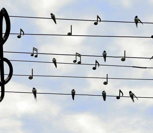 Twitter Këshillon Përdoruesit të Ndërrojnë Fjalëkalimin Disa zogj dhe nje note muzike me tela korrenti me qiellin me re ne sfond